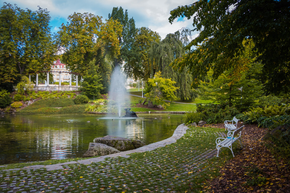 В парке - Waldemar F. В парке - Waldemar F.