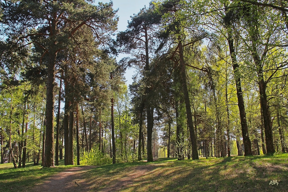 *** - Роланд Дубровский