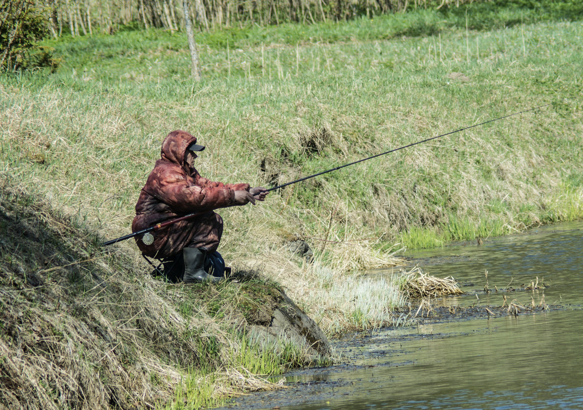 В процессе - Александр Петров
