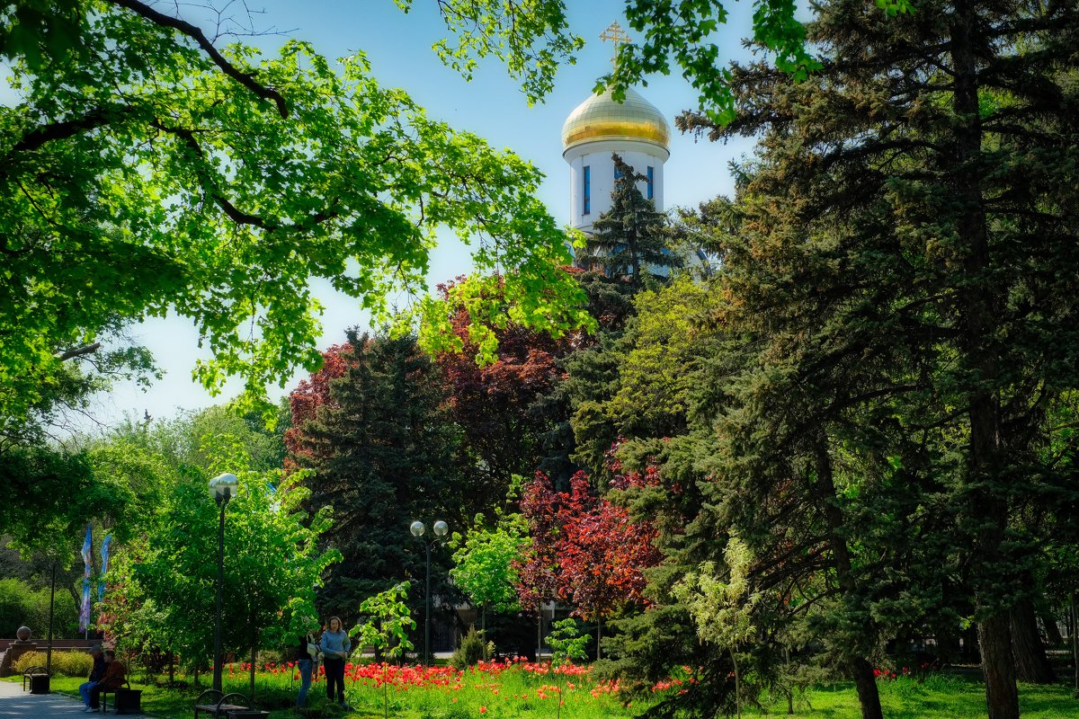 Прогулки по Ростову - Александр Гапоненко Прогулки по Ростову - Александр Гапоненко