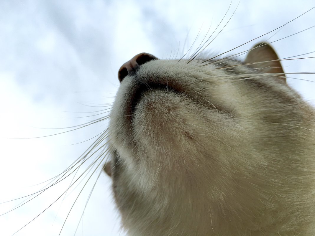 Неожиданный ракурс! - Lyudmyla Pokryshen