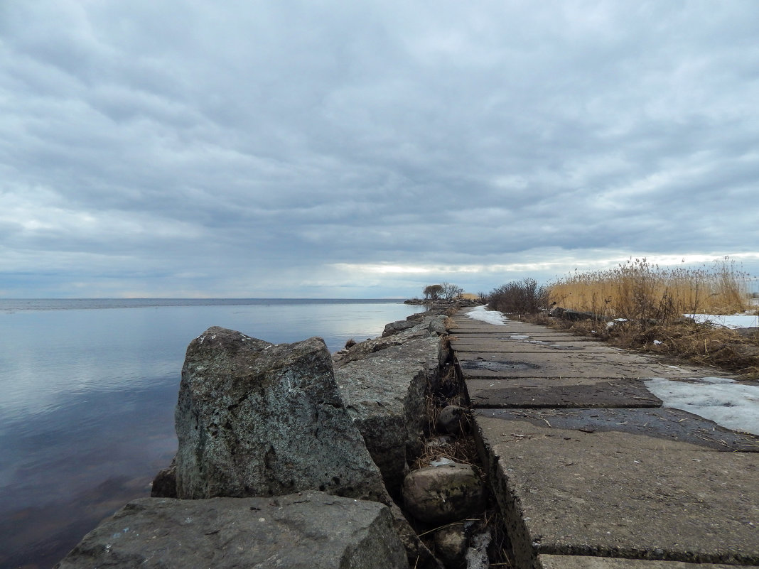 Зеленогорск. Устье Чёрной Речки. - Лариса (Phinikia) Двойникова