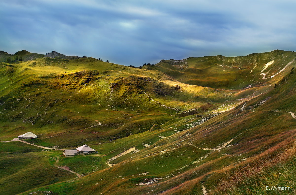 свет и тени - Elena Wymann свет и тени - Elena Wymann