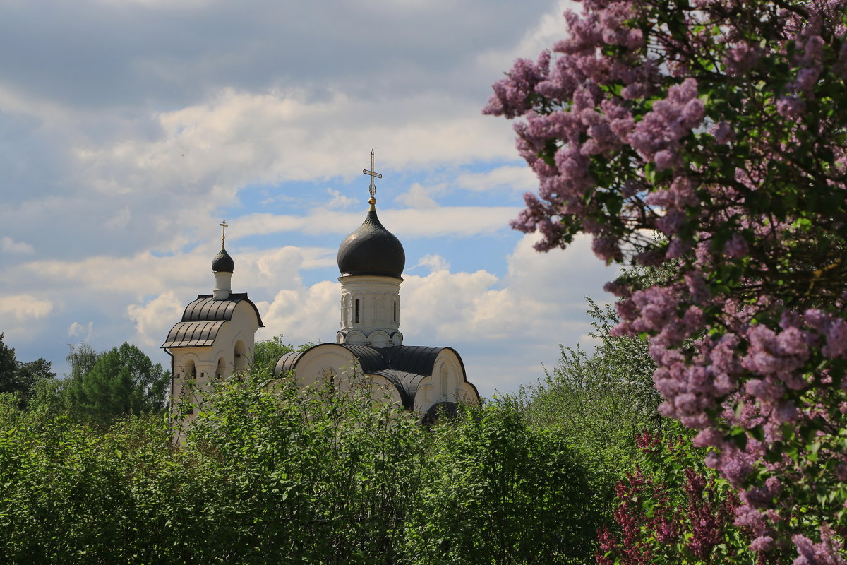 Переделкино - Ninell Nikitina