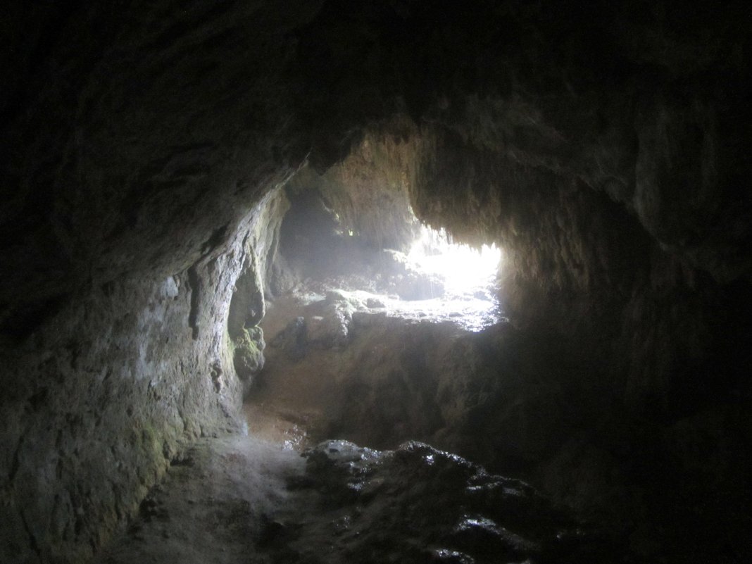 Живая пещера - Виталий Купченко