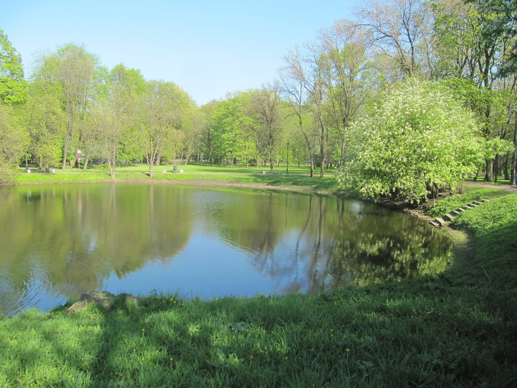 Парк Екатерингоф - Наталья Герасимова