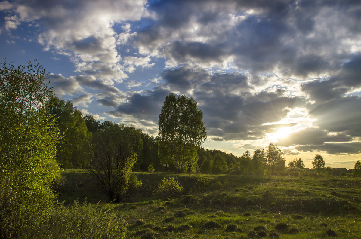 Вечер - Роман Пацкевич Вечер - Роман Пацкевич