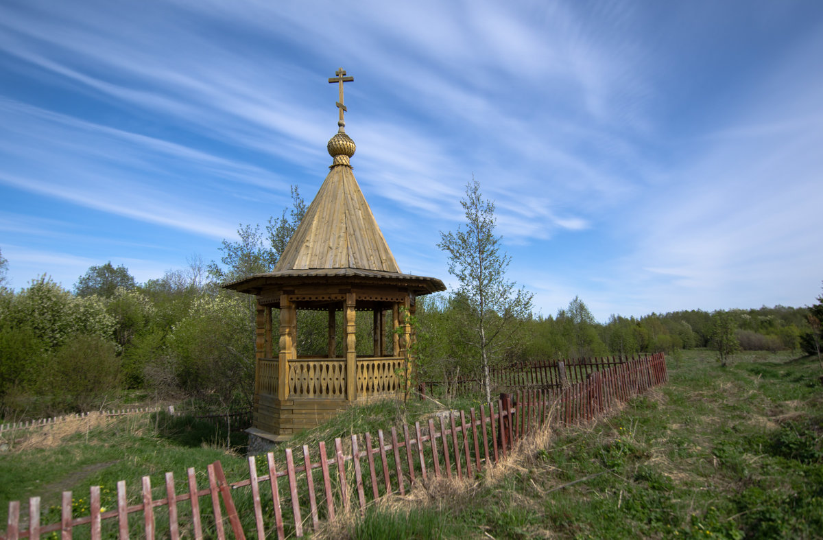 Источник Царицын ключ - Наталья Левина