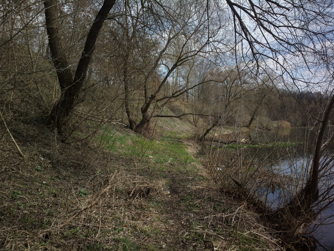 У реки - Николай Филоненко У реки - Николай Филоненко