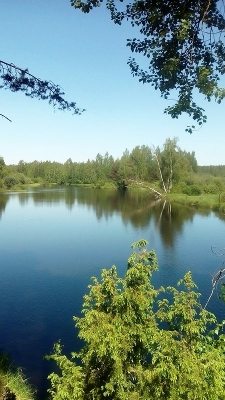 родные просторы - Вячеслав 