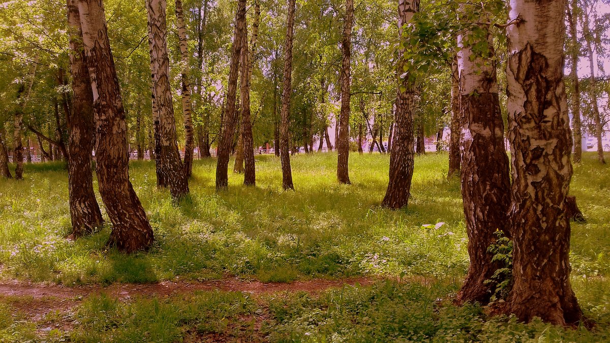 Июнь . Жара . - Мила Бовкун Июнь . Жара . - Мила Бовкун