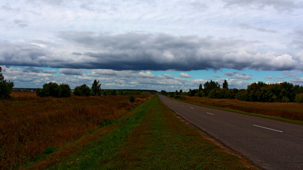 Облака дорожные, облака тревожные... - Владимир Холодов