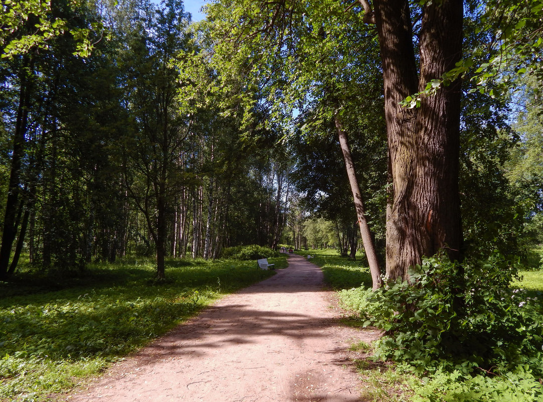 Санкт-Петербург. Царское Село. - Лариса (Phinikia) Двойникова