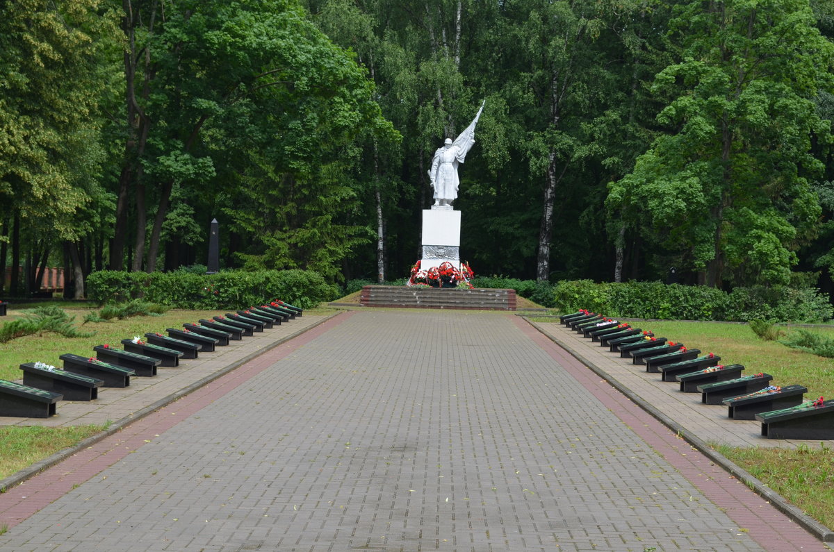 Великие Луки. Братское кладбище, День Памяти и Скорби 22 июня 2019 года... - Владимир Павлов