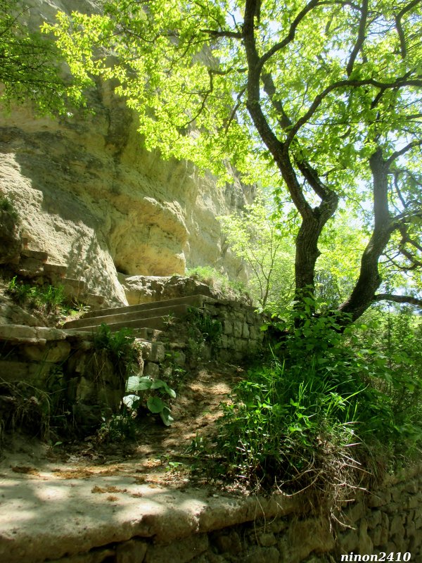 Кисловодск. В курортном парке - Нина Бутко Кисловодск. В курортном парке - Нина Бутко