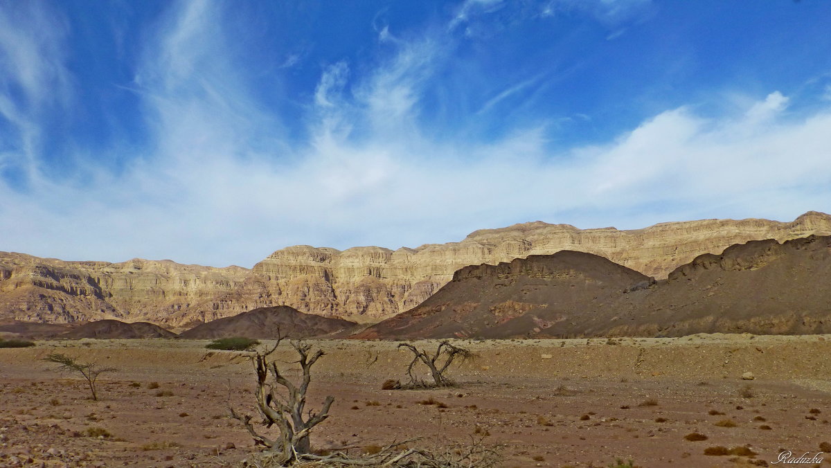 Timna Park - Raduzka (Надежда Веркина)