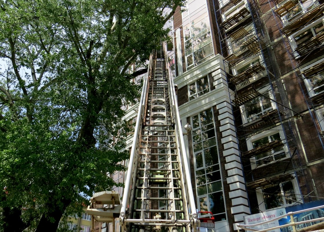 Вертикали - SVetlana Veter