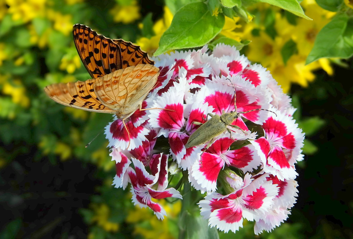А мы с тобой не пара, не пара... - Люба А мы с тобой не пара, не пара... - Люба
