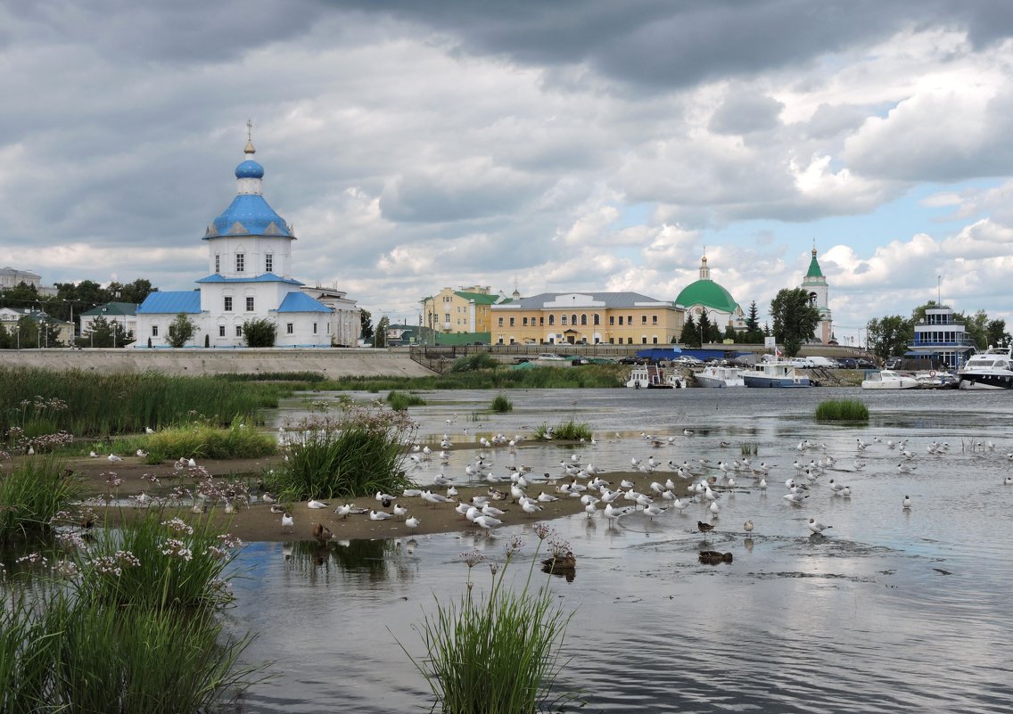 Птичий базар.Чебоксары - Ната Волга