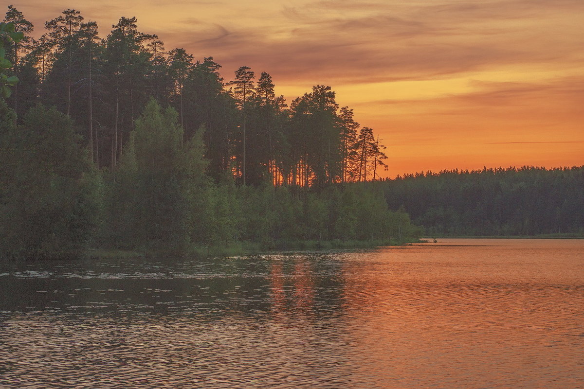 *** - Сергей  Могутов 