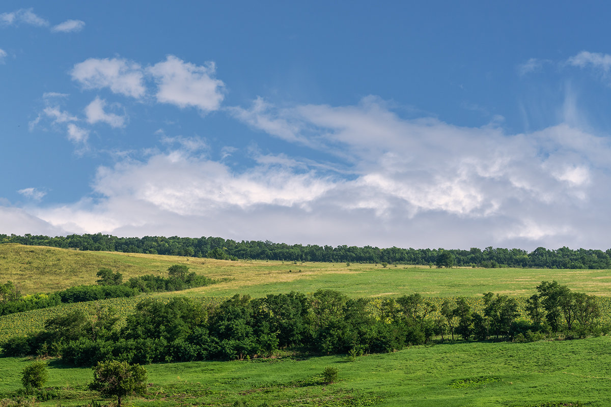 Кубань - Игорь Сикорский