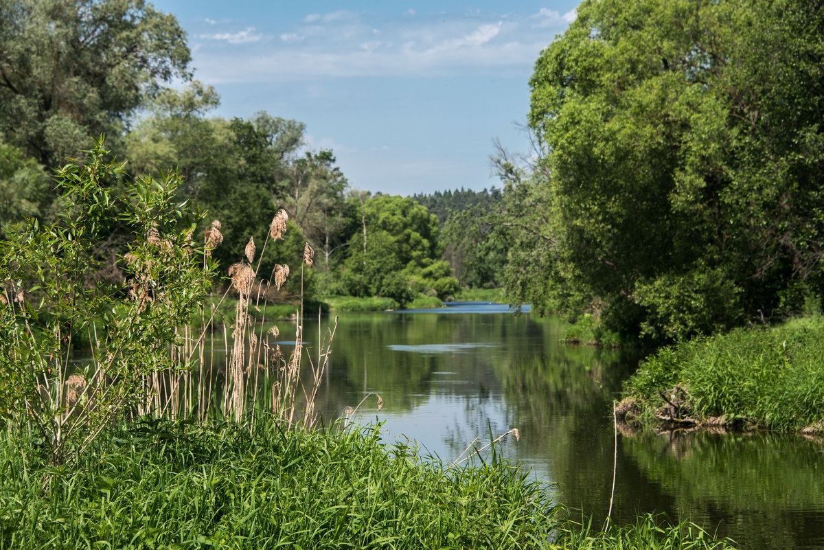 р.Лопасня - Владимир Безбородов р.Лопасня - Владимир Безбородов