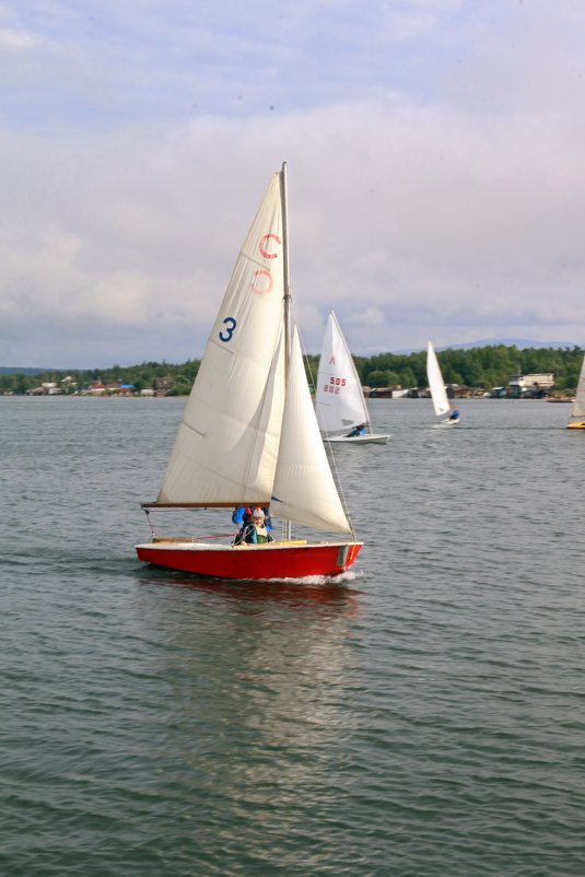 Регата на Имандре - Ольга 