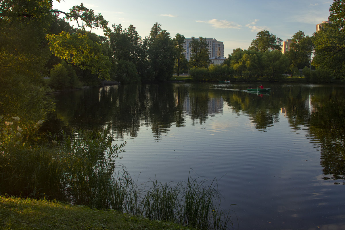 В парке - Анжела Пасечник