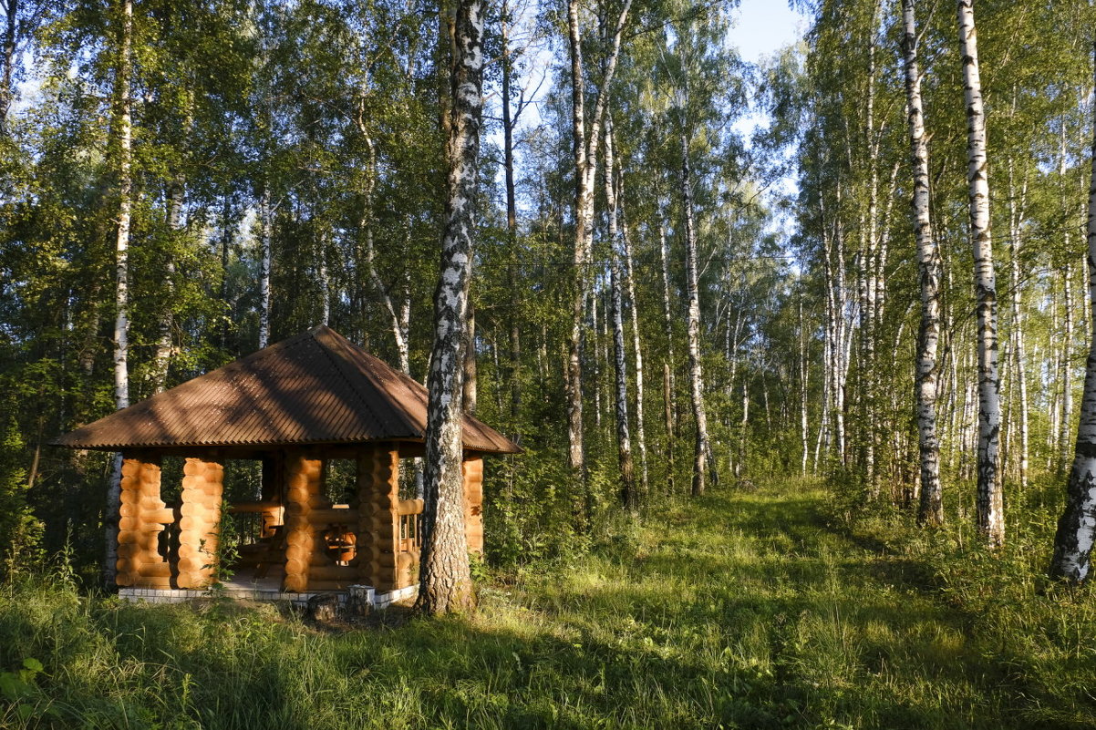 беседка на природе - Георгий А