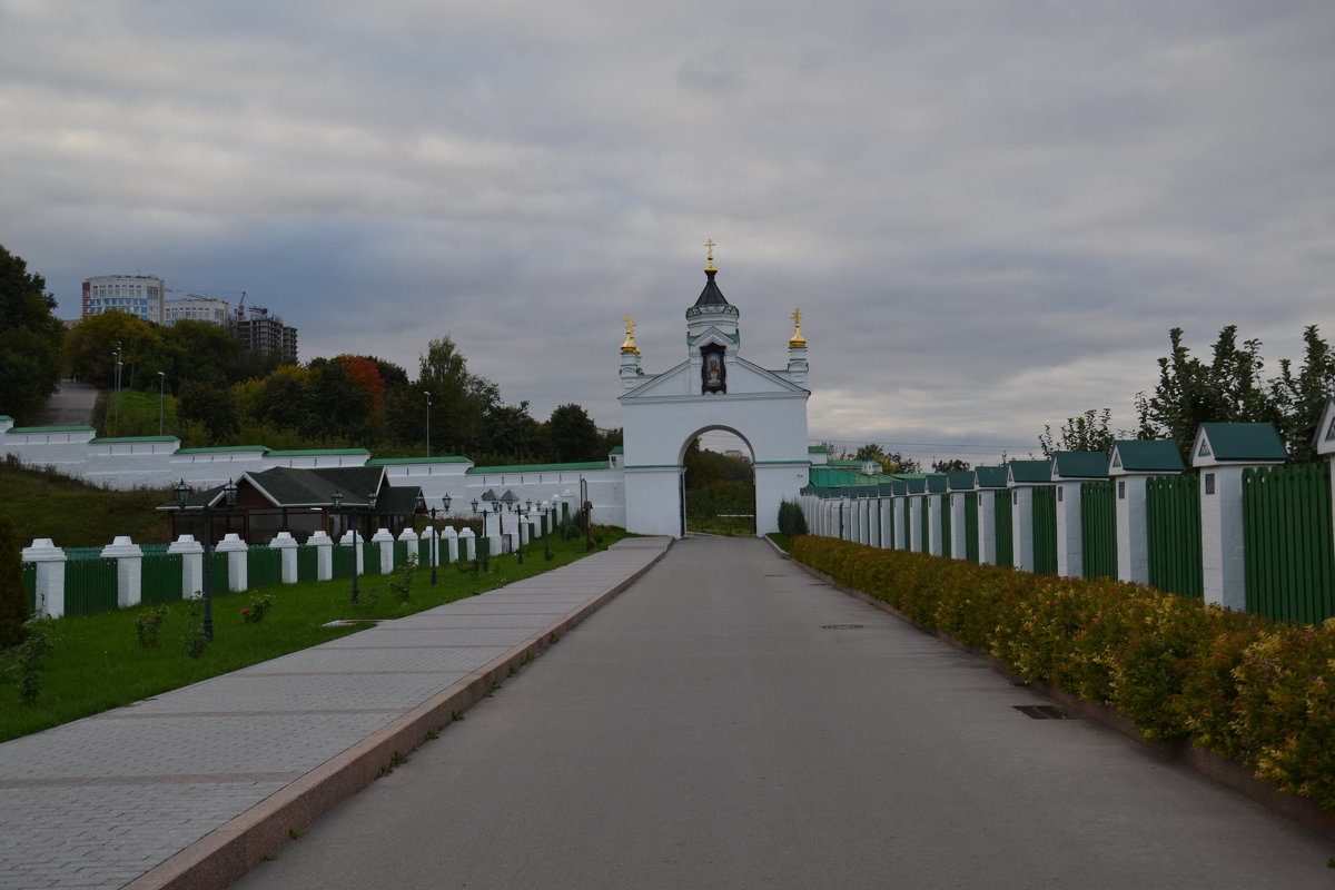 Н.НОВГОРОД. - Виктор Осипчук