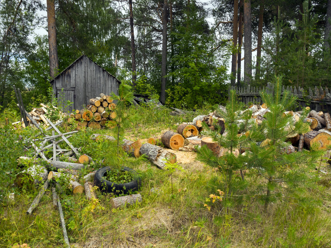 В поселке Белое озеро - Владимир Шибинский