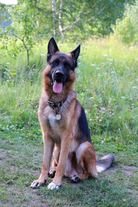 - - Татьяна Котельникова