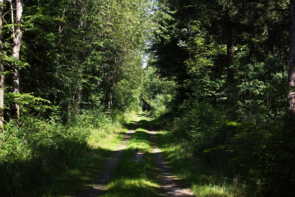 Удивительное всегда рядом ... - Владимир Икомацких Удивительное всегда рядом ... - Владимир Икомацких