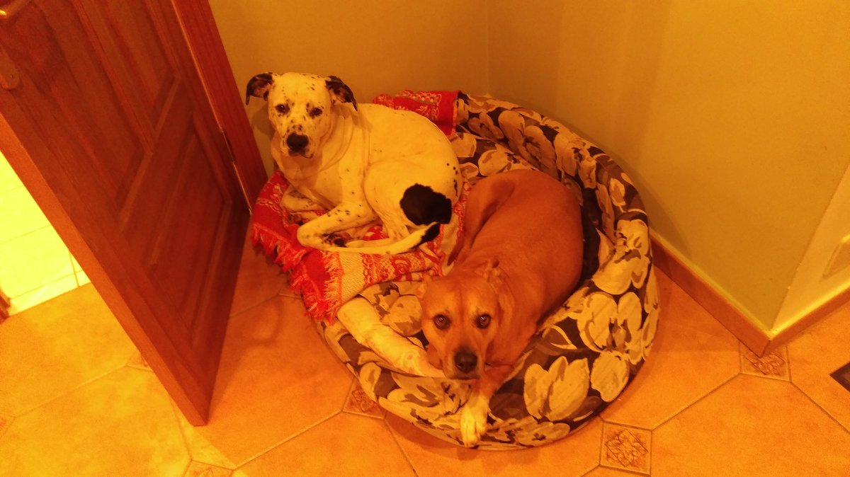 В тесноте, да не в обиде - Татьяна Назарова В тесноте, да не в обиде - Татьяна Назарова