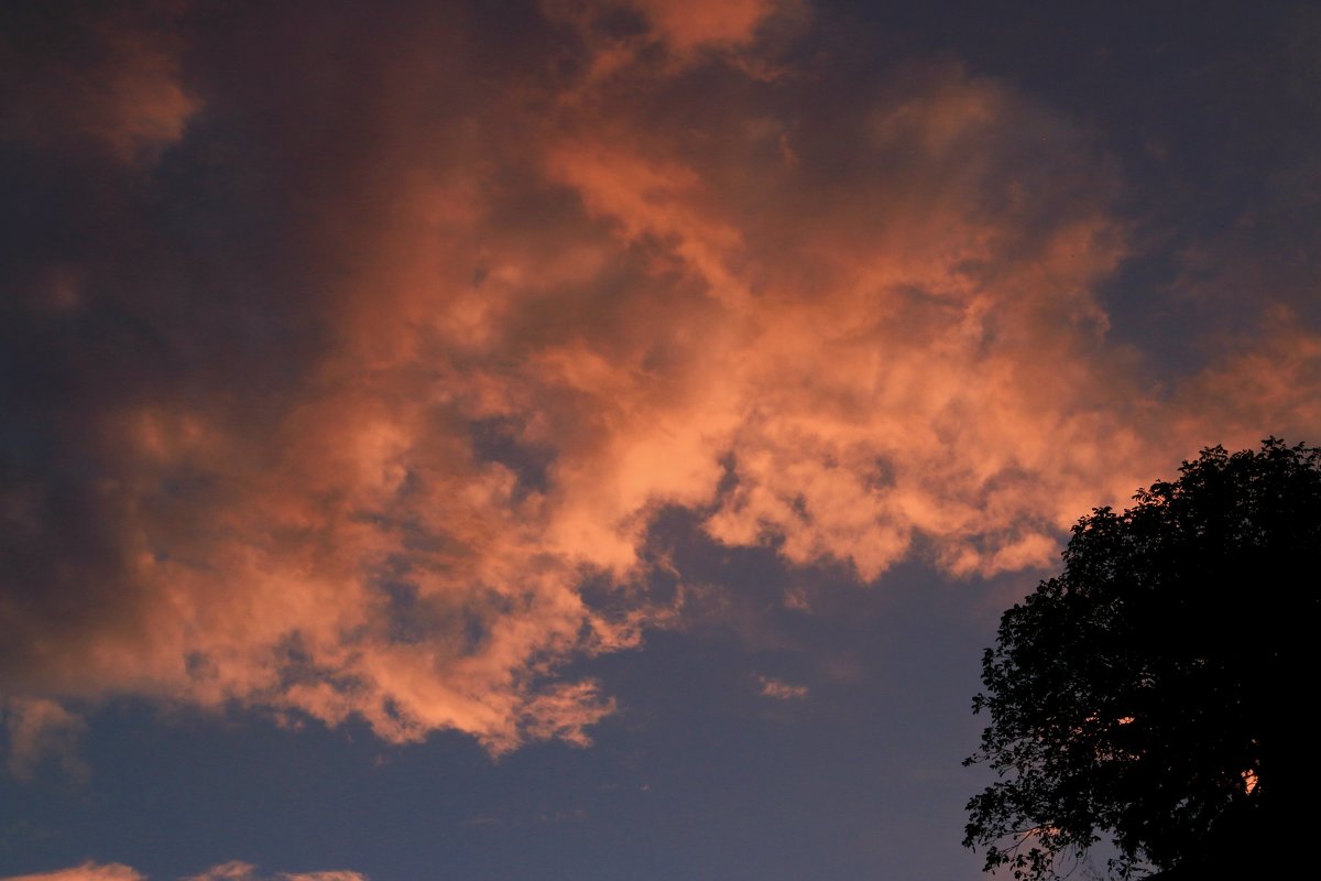 *** - Игорь Kуленко