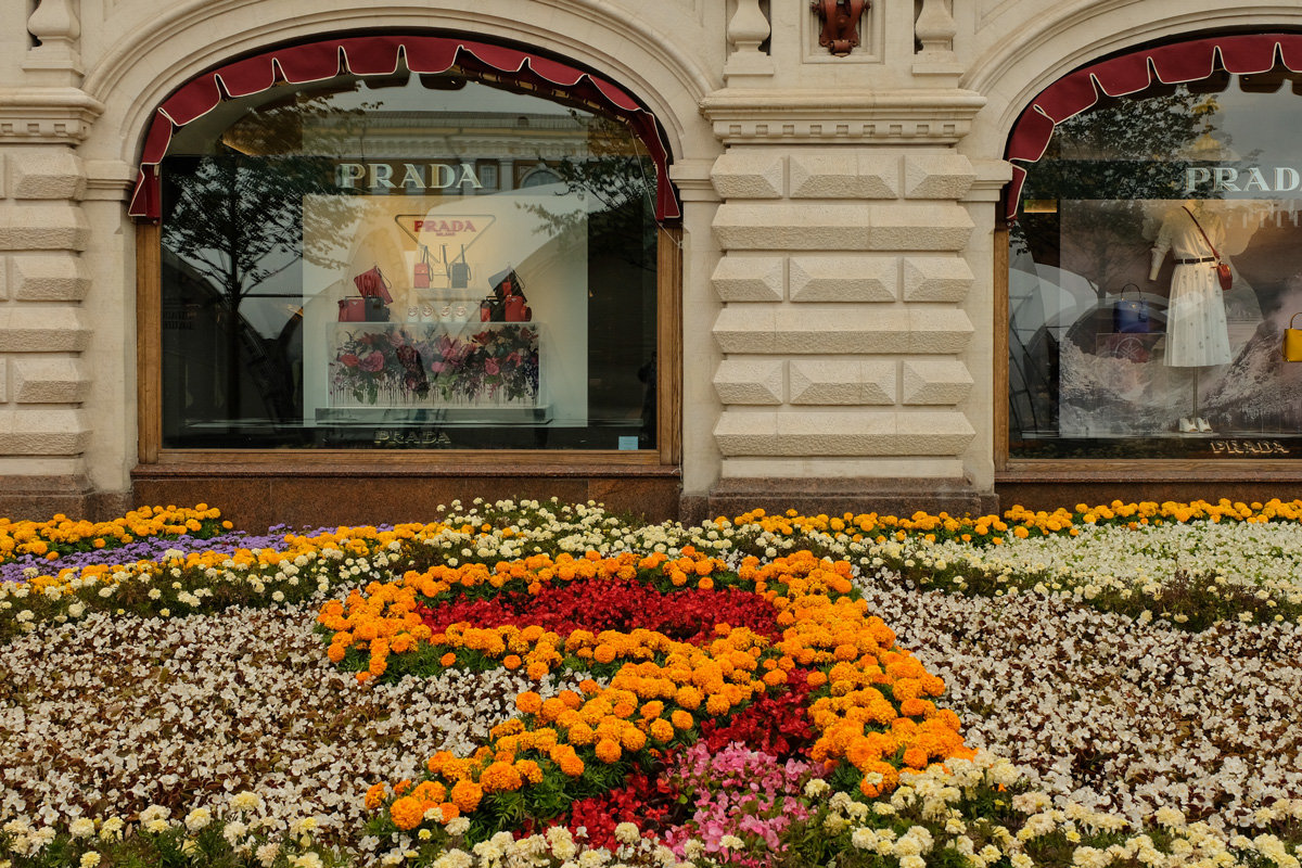 Москва. ГУМ. Фестиваль цветов. - Надежда Лаптева