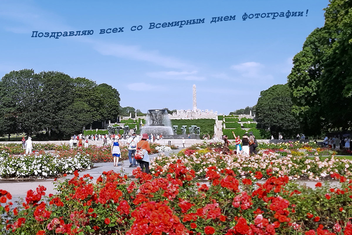 Поздравляю всех со Всемирным днем фотографии! - Tamara *