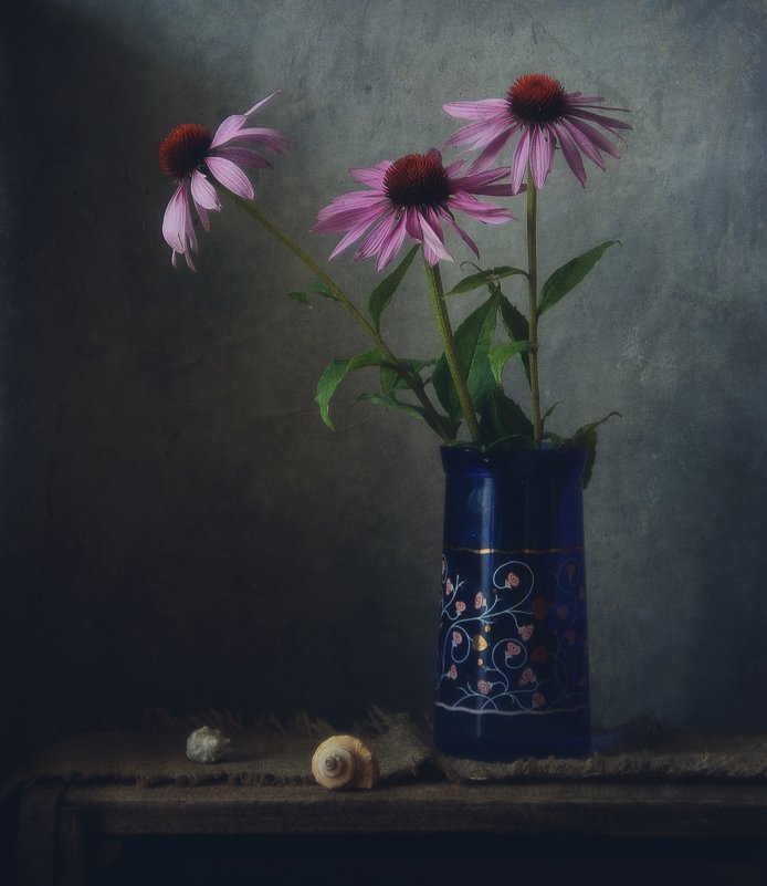 эхинацея... - Natali-C C