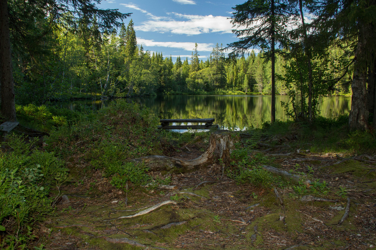 Тишина - Андрей 