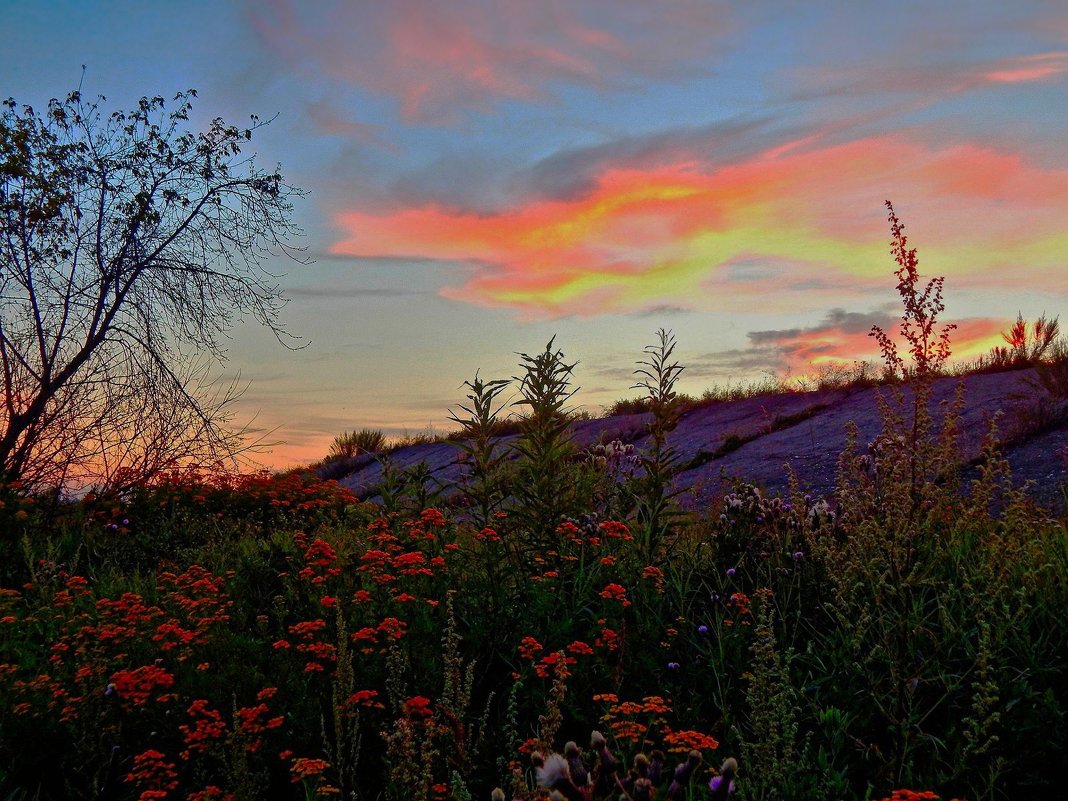 Озарение!  ... (палитра Вдохновения ) ) - Елена Хайдукова  ( Elena Fly )