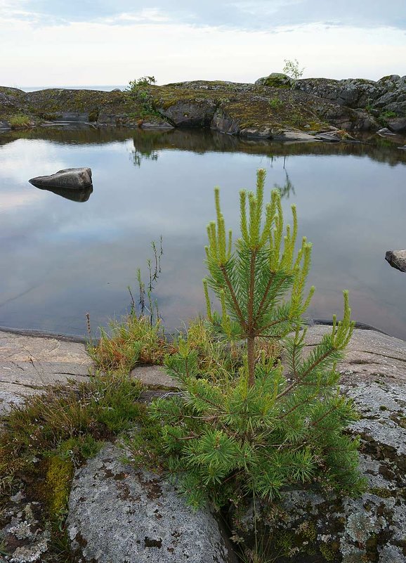 После захода солнца - Сергей Курников После захода солнца - Сергей Курников