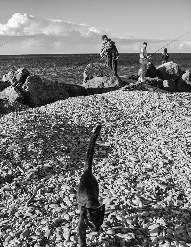 Билли Бонс... - Беспечный Ездок