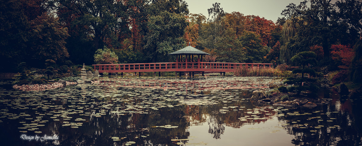 Ogrody - Janusz Wrzesień
