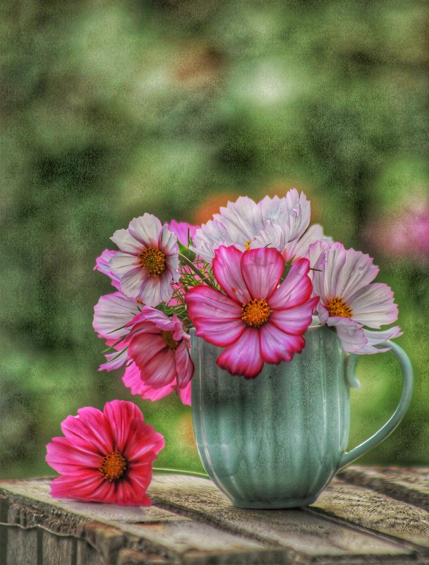 Космея - Евгения Иванова