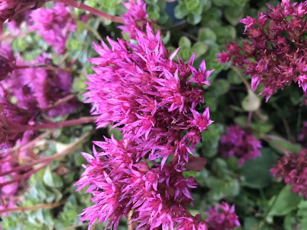 Летние мотивы-2 - Валентина Жукова Летние мотивы-2 - Валентина Жукова