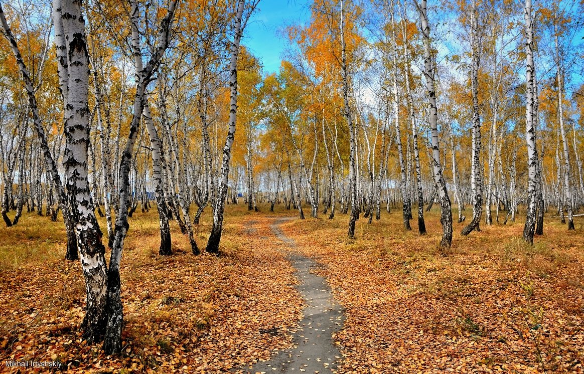 В роще осенней - Mikhail Irtyshskiy