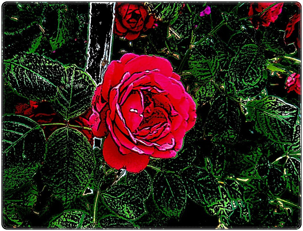 О розах... - Нина Корешкова