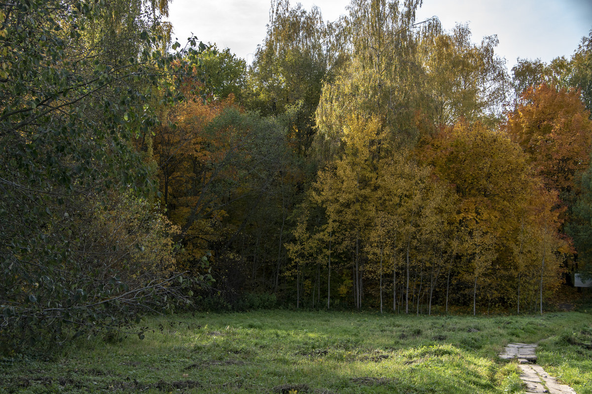 Поляна - Яков Реймер