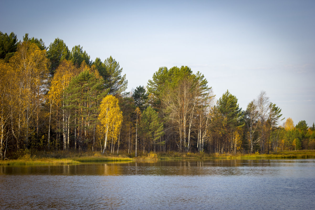Золотая осень - Александр Гладких