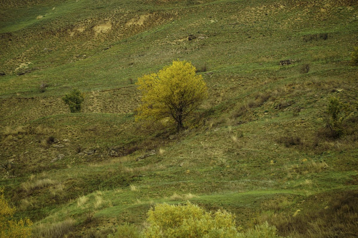 , - Игорь Сикорский